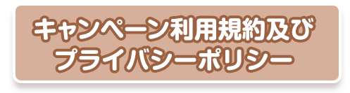 キャンペーン利用規約及びプライバシーポリシー
