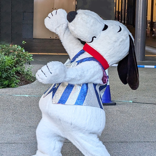 会場の様子
