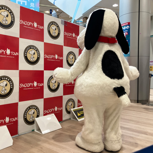 会場の様子