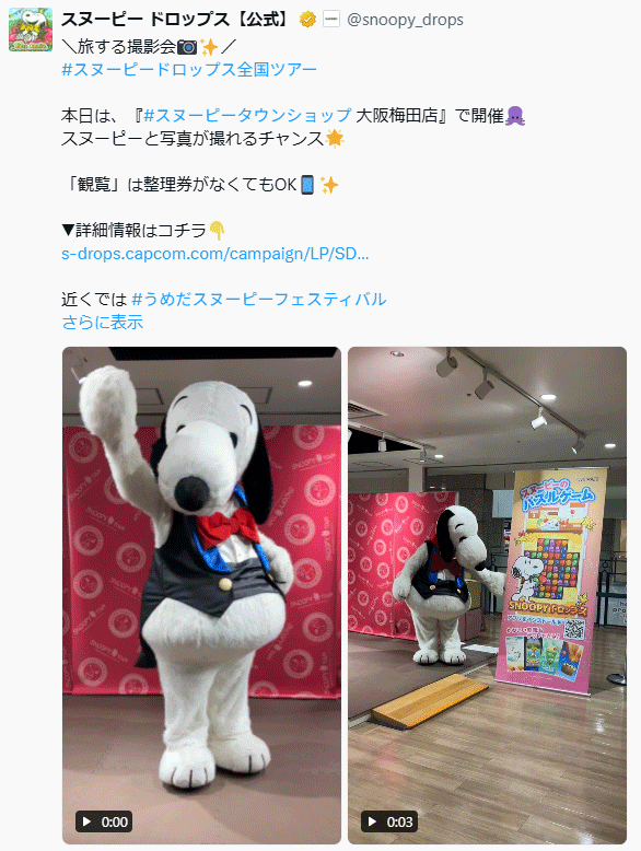 公式X