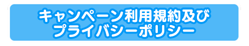 キャンペーン利用規約及びプライバシーポリシー