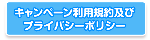 キャンペーン利用規約及びプライバシーポリシー